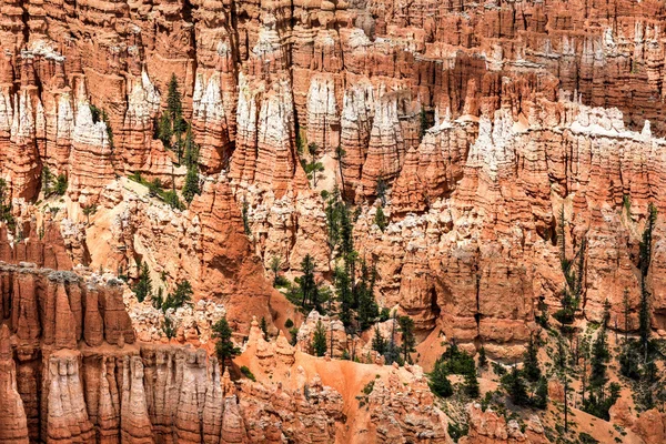 Bryce Canyon National Park — Stock Photo, Image