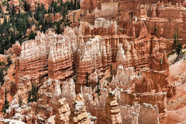 Bryce Canyon Nemzeti Park — Stock Fotó