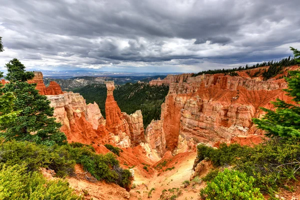 Bryce Canyon Nemzeti Park — Stock Fotó