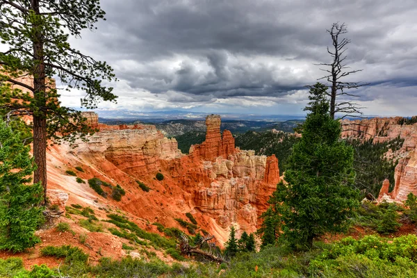 Bryce Canyon Nemzeti Park — Stock Fotó