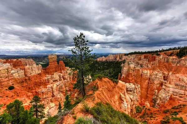 Bryce Canyon Nemzeti Park — Stock Fotó