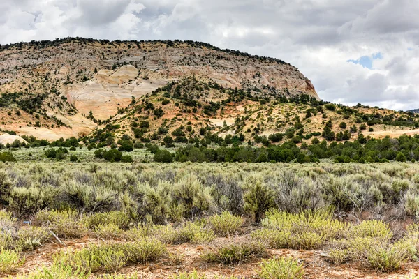 Johnson Canyon Road - Utah — Photo