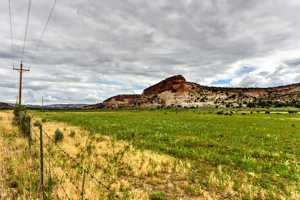 Johnson Canyon Road - Utah — Photo