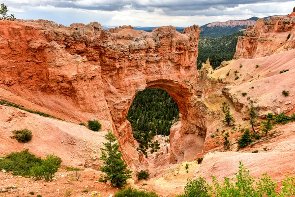 Nationaal park Bryce Canyon — Stockfoto