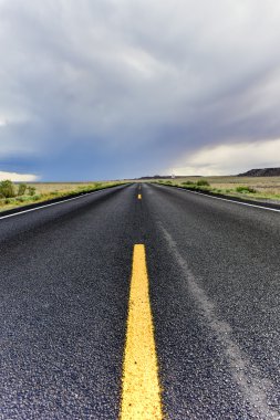 Karayolu boyunca taşlaşmış orman Milli Parkı