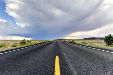 Karayolu boyunca taşlaşmış orman Milli Parkı