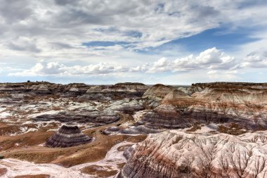 Mavi Mesa - taşlaşmış orman Milli Parkı