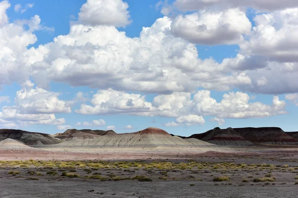 Stugor - Förstenad skognationalpark — Stockfoto