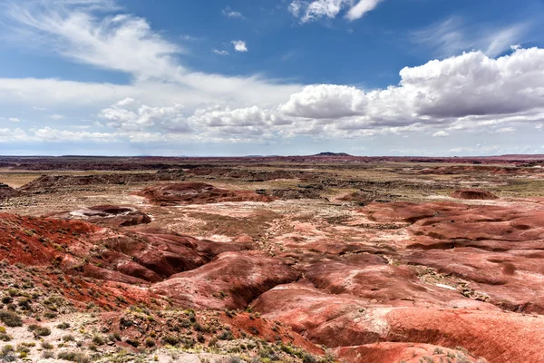 Lacey Point - Petrified Forest National Park — Stock Photo, Image