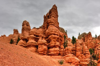 Red Canyon - Utah