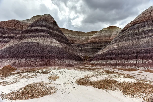 Blue mesa - Nationalpark versteinerter Wälder — Stockfoto