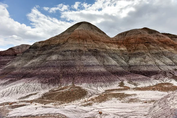 Blue mesa - Nationalpark versteinerter Wälder — Stockfoto