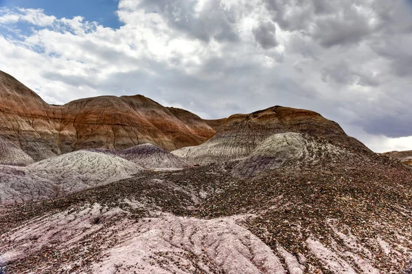 Niebieski Mesa - Petrified Forest National Park — Zdjęcie stockowe