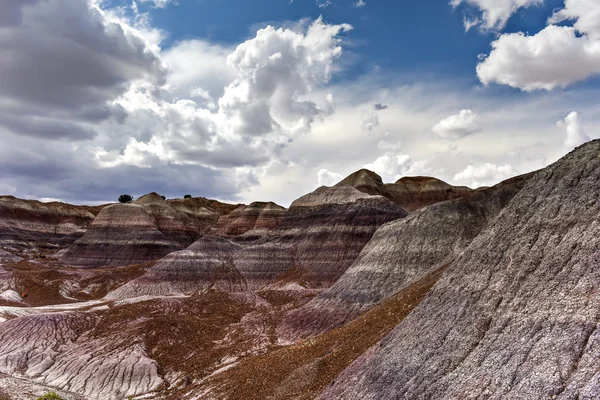 Blue mesa - Nationalpark versteinerter Wälder — Stockfoto