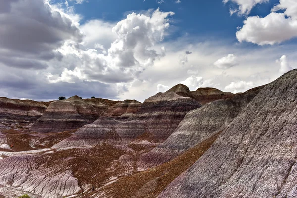 Blue Mesa - Parco nazionale della foresta pietrificata — Foto Stock