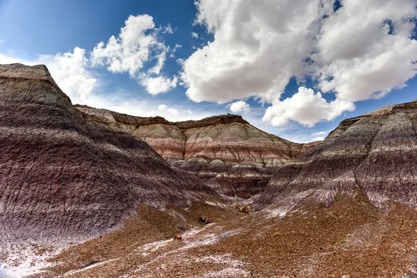 Blue mesa - Nationalpark versteinerter Wälder — Stockfoto