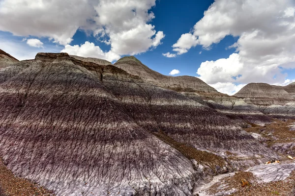 Mesa Azul - Parque Nacional Bosque Petrificado —  Fotos de Stock