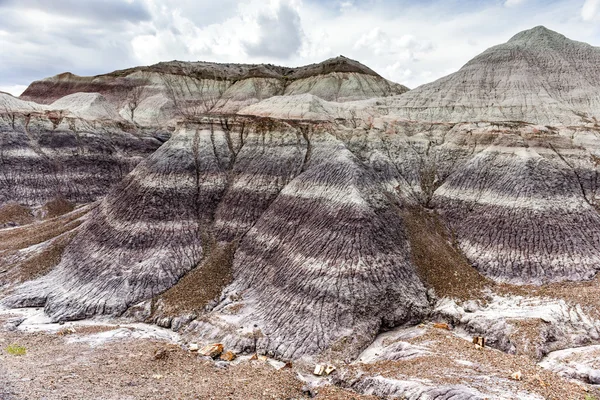 Blue mesa - Nationalpark versteinerter Wälder — Stockfoto