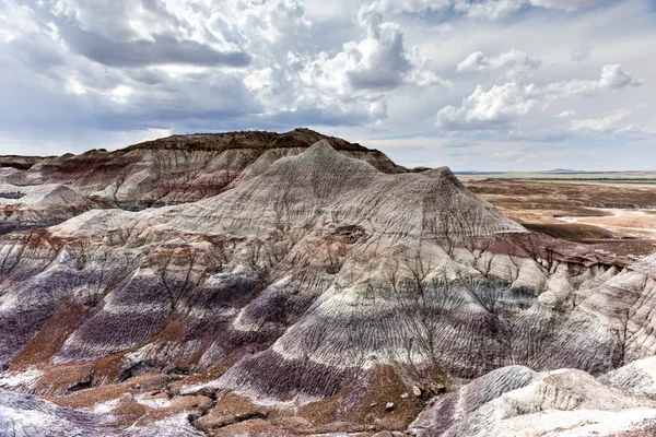 Blue mesa - Nationalpark versteinerter Wälder — Stockfoto