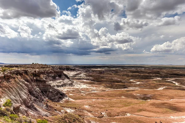 Modrá Mesa - Petrified Forest National Park — Stock fotografie