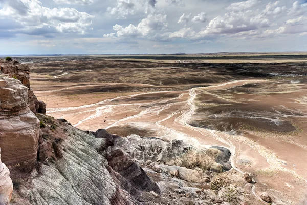 Modrá Mesa - Petrified Forest National Park — Stock fotografie