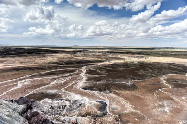 Modrá Mesa - Petrified Forest National Park — Stock fotografie