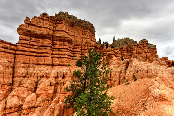 Red Canyon - Utah — Stock fotografie