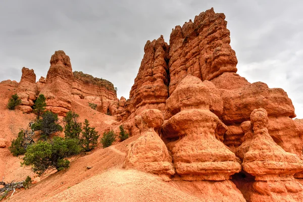 Cañón Rojo - Utah — Foto de Stock