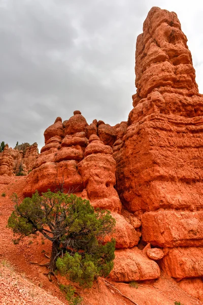 Cañón Rojo - Utah —  Fotos de Stock