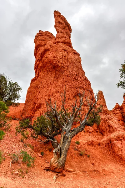 Rote Schlucht - utah — Stockfoto