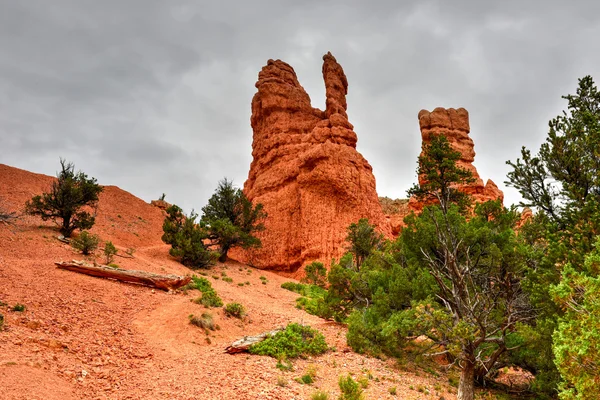 Red Canyon - Utah — Stock Photo, Image