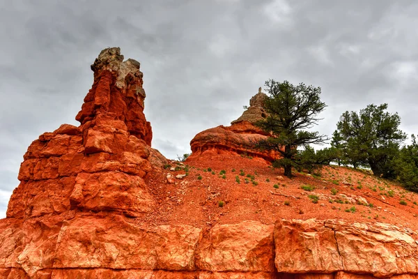 Red Canyon - Utah — Stock Photo, Image