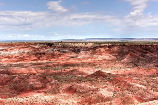 Tiponi Point - Petrified Forest National Park — Stock Photo, Image