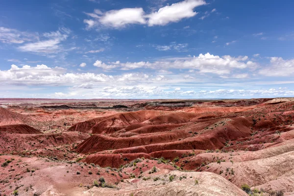 Tiponi Point - Petrified Forest National Park — Stock Photo, Image