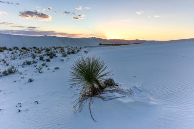 White Sands Ulusal Anıtı
