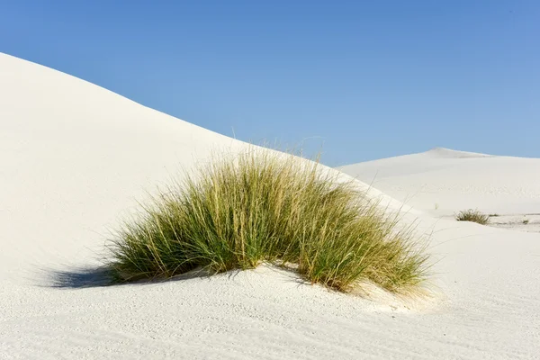 Nationaal monument White Sands — Stockfoto