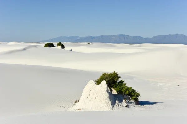 Nationaal monument White Sands — Stockfoto