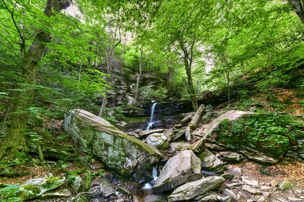 Ricketts Glen State Park - Pensilvânia — Fotografia de Stock