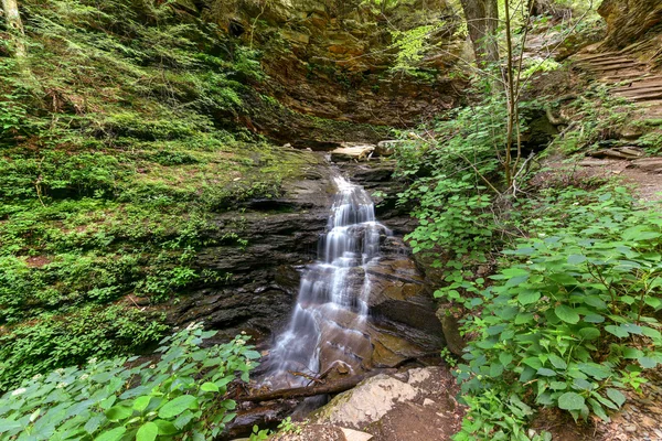 Parque Estatal Ricketts Glen - Pensilvania —  Fotos de Stock