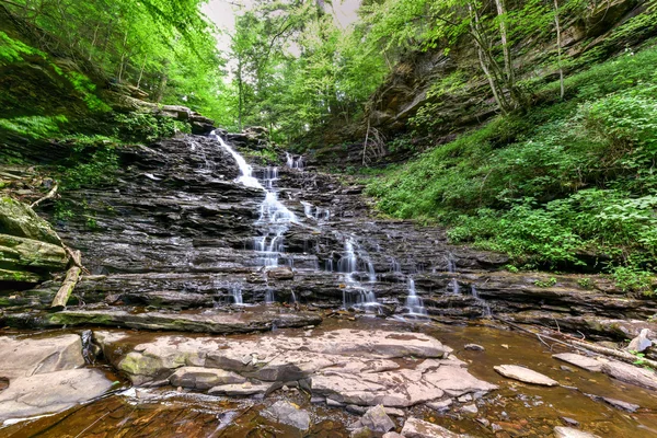 Ricketts Glen State Park - Pennsylvania — Stock Photo, Image