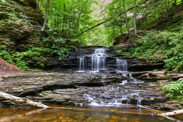 Ricketts Glen State Park - Pensilvânia — Fotografia de Stock