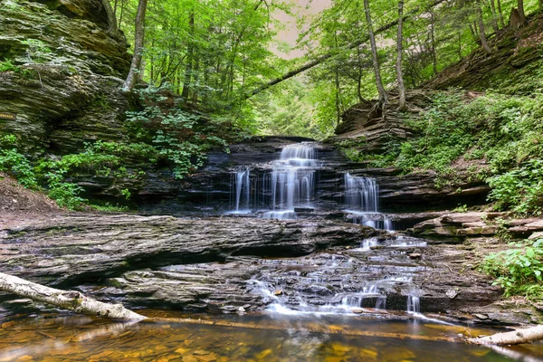 Ricketts Glen State Park - Pennsylvania — Stok fotoğraf