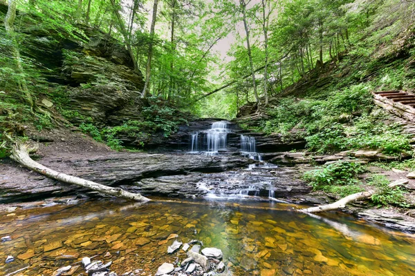 Ricketts Glen State Park - Pennsylvania — Stok fotoğraf