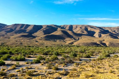 Anza-Borrego Çöl Parkı manzarası Kaliforniya, ABD.