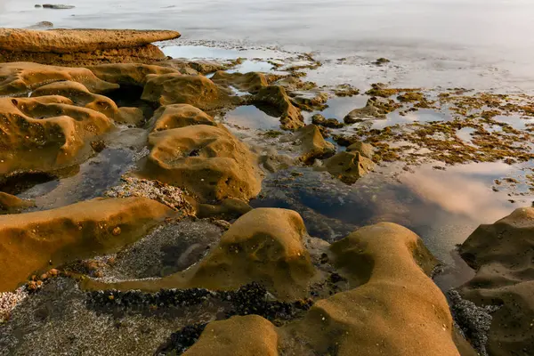 Sonnenuntergang Den Gezeitenpools Jolla San Diego Kalifornien — Stockfoto