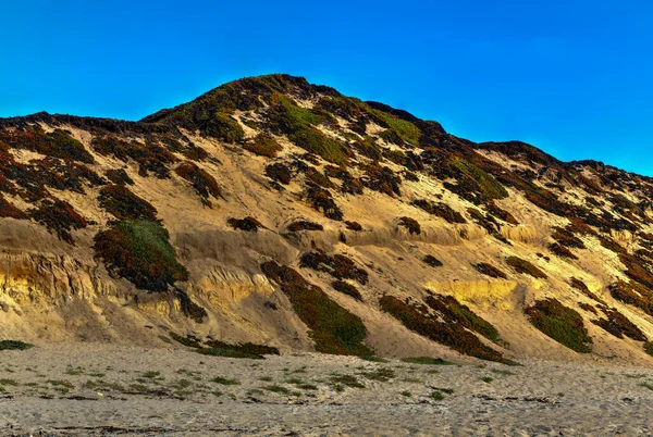 Fort Ord Dunes State Park Park Stanowy Kalifornii Stanach Zjednoczonych — Zdjęcie stockowe