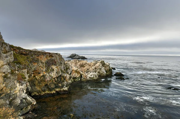 Isola Degli Uccelli Point Lobos Big Sur California Usa — Foto Stock