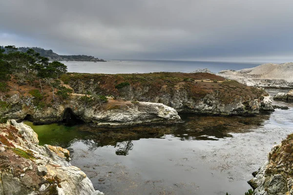 Isola Degli Uccelli Point Lobos Big Sur California Usa — Foto Stock
