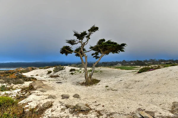 Landscape Spanish Bay Mile Drive Coast Pebble Beach California — Stock Photo, Image