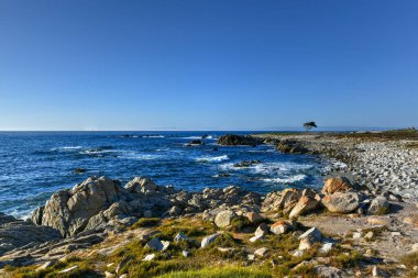 Pebble Sahili ve Kaliforniya kıyı şeridi 17 mil boyunca güzel bir manzara..